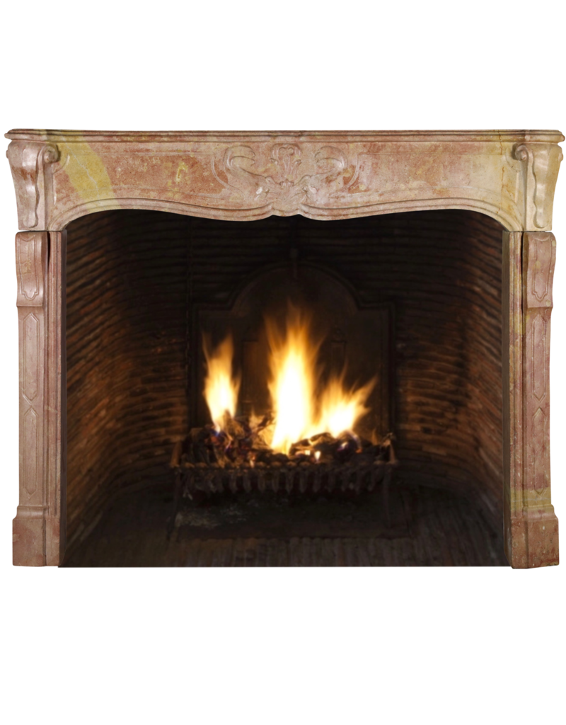 Exclusive French Fireplace Surround