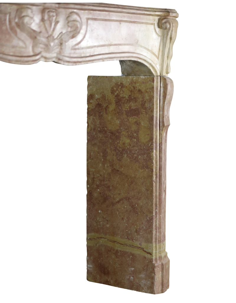 Exclusive French Fireplace Surround