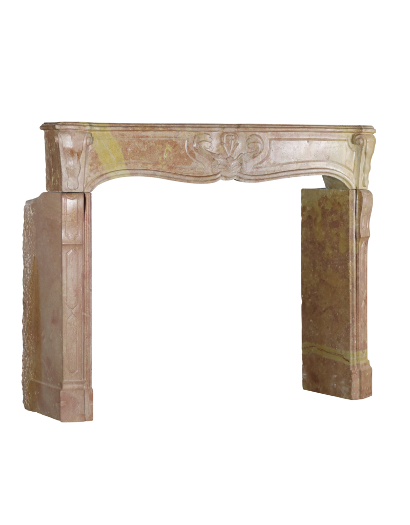 Exclusive French Fireplace Surround