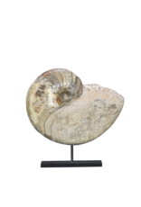 Maison Leon Van den Bogaert Originales Fossil