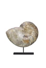 Maison Leon Van den Bogaert Originales Fossil