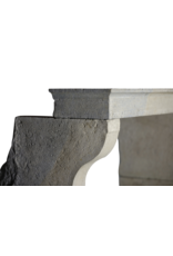 Chimenea francesa elegante rústica de piedra caliza