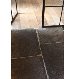Oude Belgische Grote Zwarte Dallen - 60 cm Breed