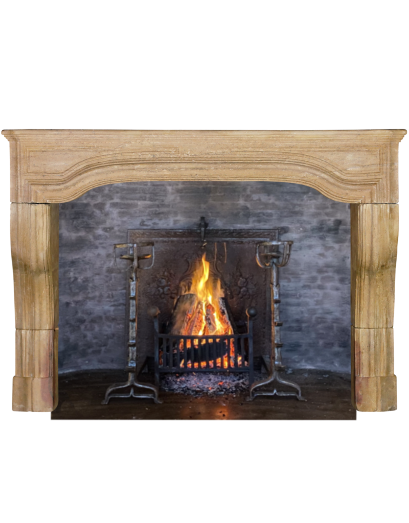 Antique Stone Fireplace Surround