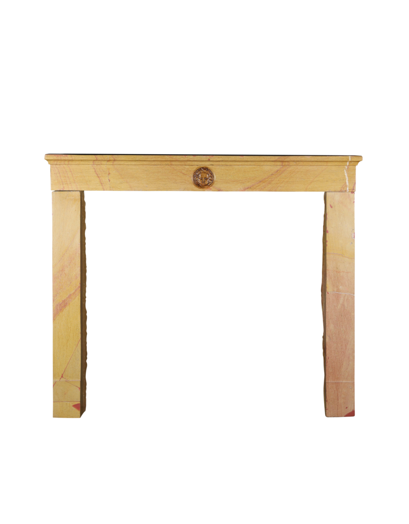 Maison Leon Van den Bogaert Stunning French Hard Stone Fireplace