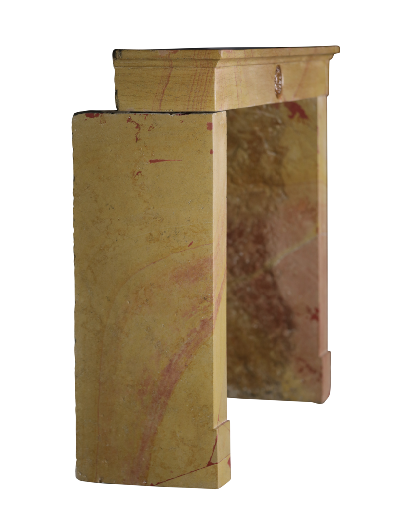Maison Leon Van den Bogaert Stunning French Hard Stone Fireplace