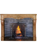 Stunning French Chateaux Fireplace