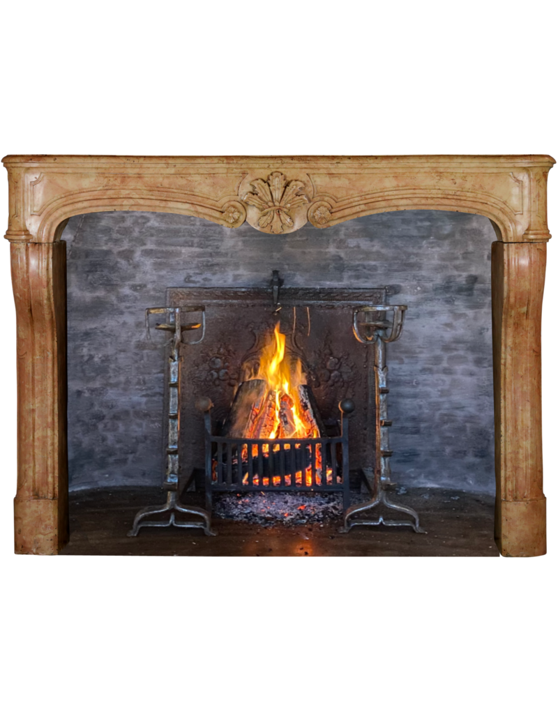 Stunning French Chateaux Fireplace