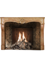 Stunning French Chateaux Fireplace