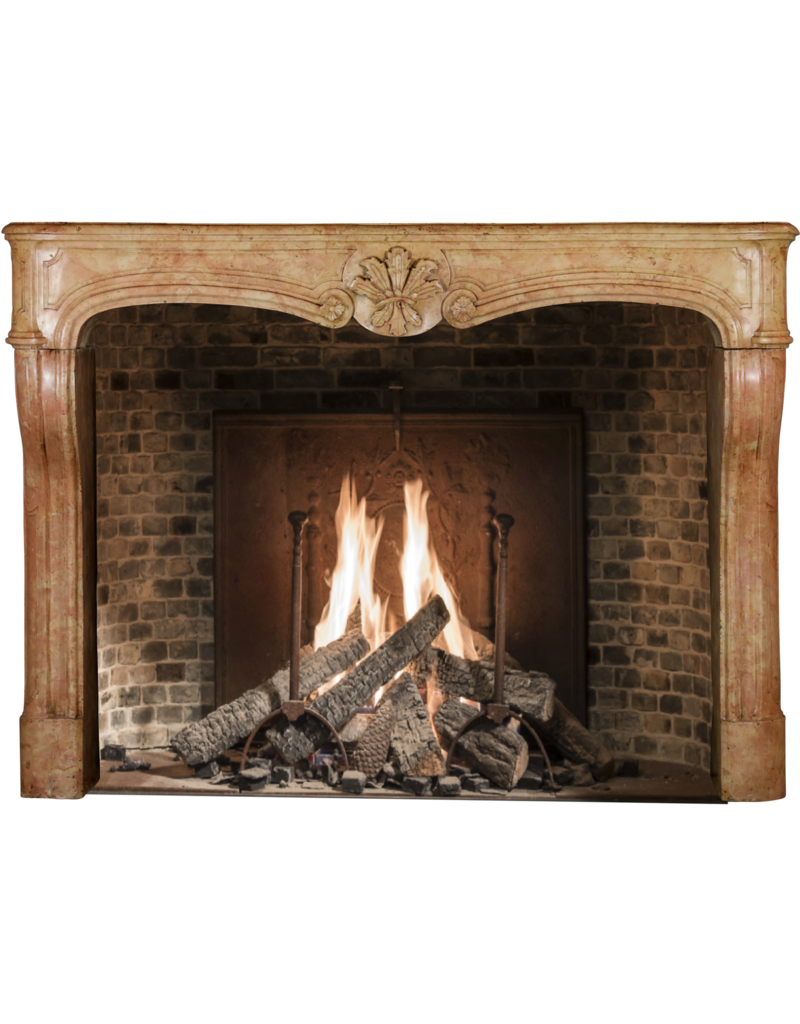 Stunning French Chateaux Fireplace