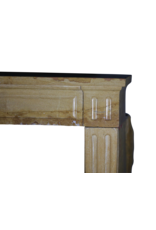 Maison Leon Van den Bogaert Traditional French Style Stone Fireplace