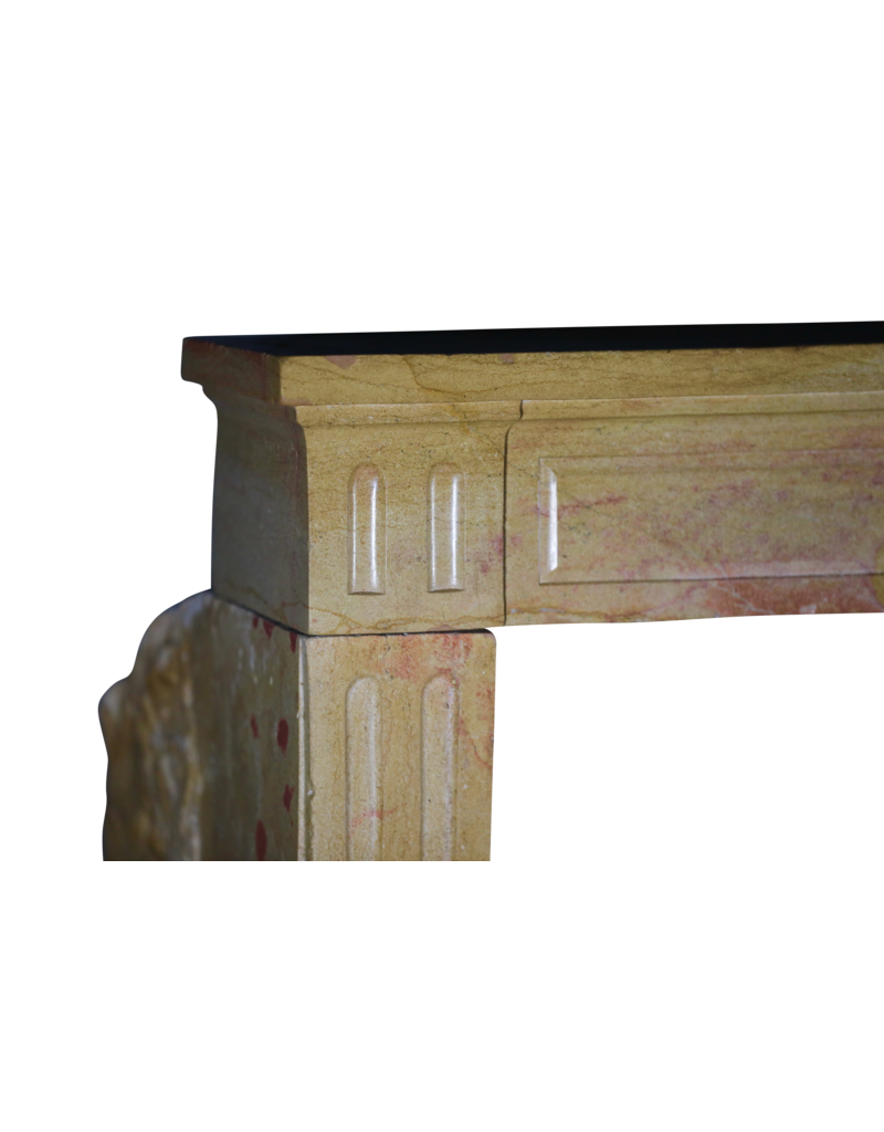 Maison Leon Van den Bogaert Traditional French Style Stone Fireplace