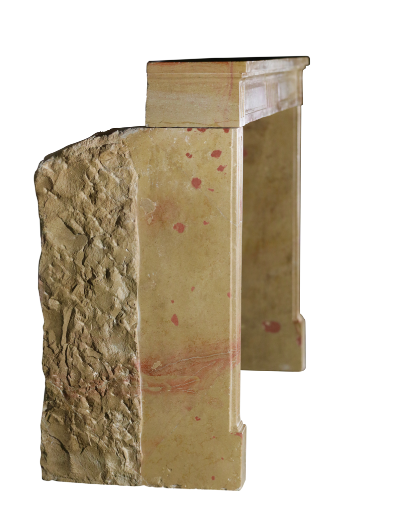 Maison Leon Van den Bogaert Traditional French Style Stone Fireplace