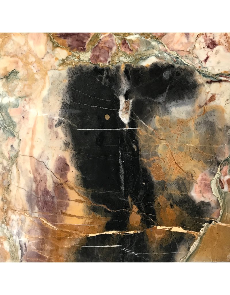 Maison Leon Van den Bogaert Antique Brêche Vendôme Marble Tiles