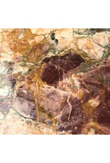 Maison Leon Van den Bogaert Baldosas antiguas de mármol Brêche Vendôme