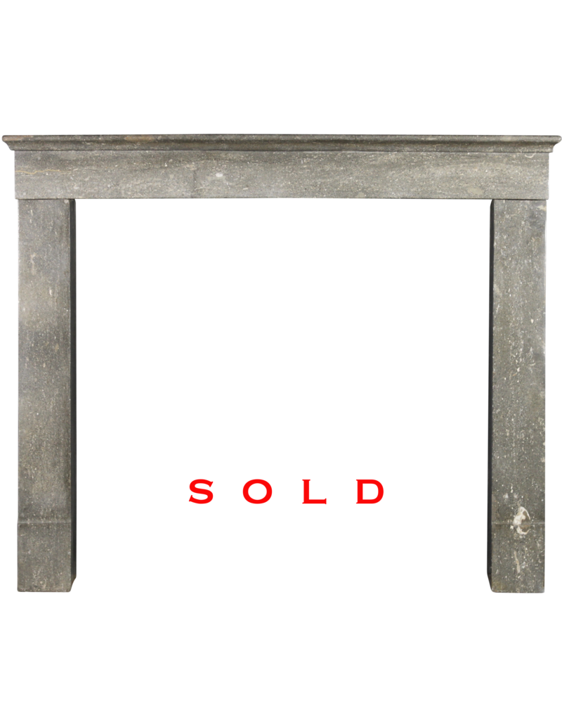 Maison Leon Van den Bogaert French Antique Fireplace Surround In Bicolor Stone