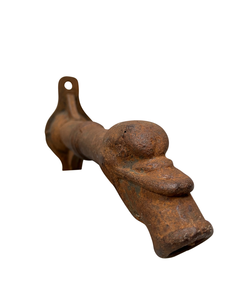 Antique Water Spout In Cast Iron With Duck Head