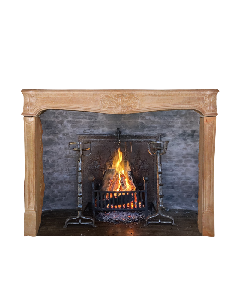 Maison Leon Van den Bogaert Classic French Provencal Fireplace