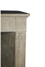 Maison Leon Van den Bogaert Fina chimenea de piedra caliza francesa