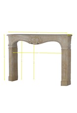 Classic French Limestone Fireplace