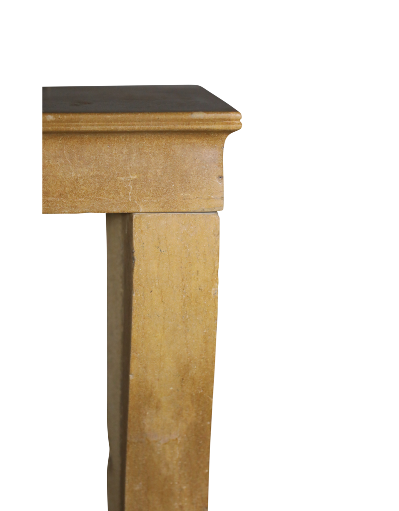 Maison Leon Van den Bogaert Elegante Chimenea de Piedra Francesa Antigua
