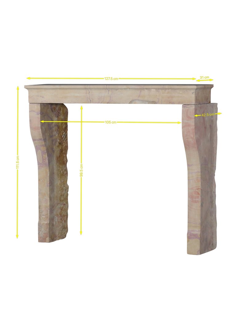 Maison Leon Van den Bogaert Eleganter antiker französischer Steinkamin