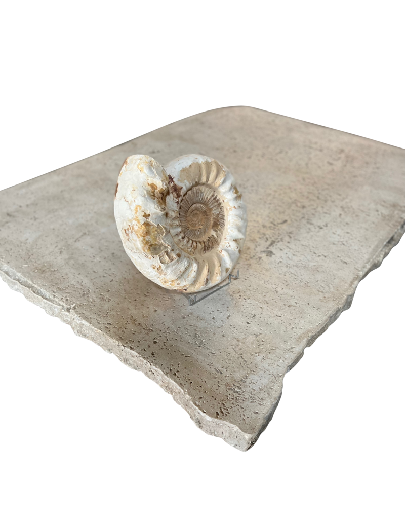Maison Leon Van den Bogaert Unusual Timeless Beige Travertin Table Top