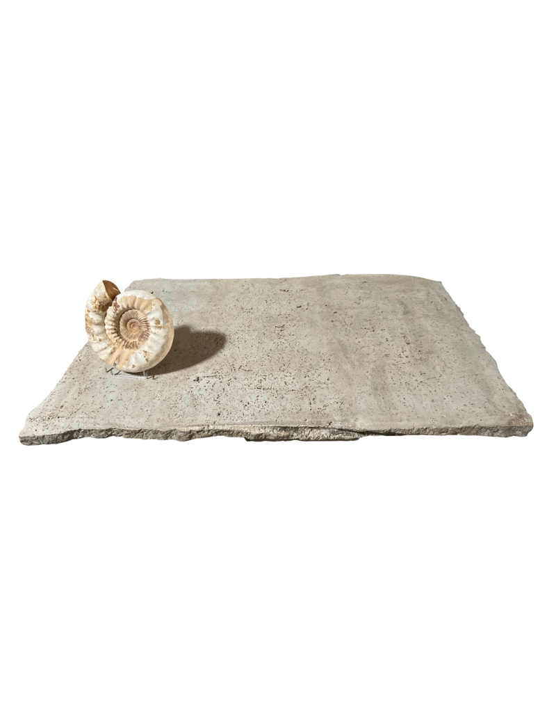 Maison Leon Van den Bogaert Tablette De Table En Travertin Beige Intemporel Et Inhabituel