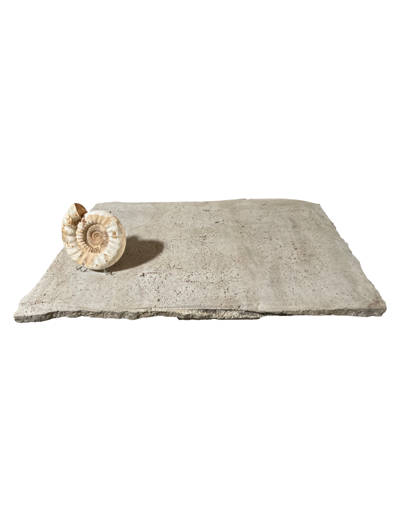 Maison Leon Van den Bogaert Unusual Timeless Beige Travertin Table Top
