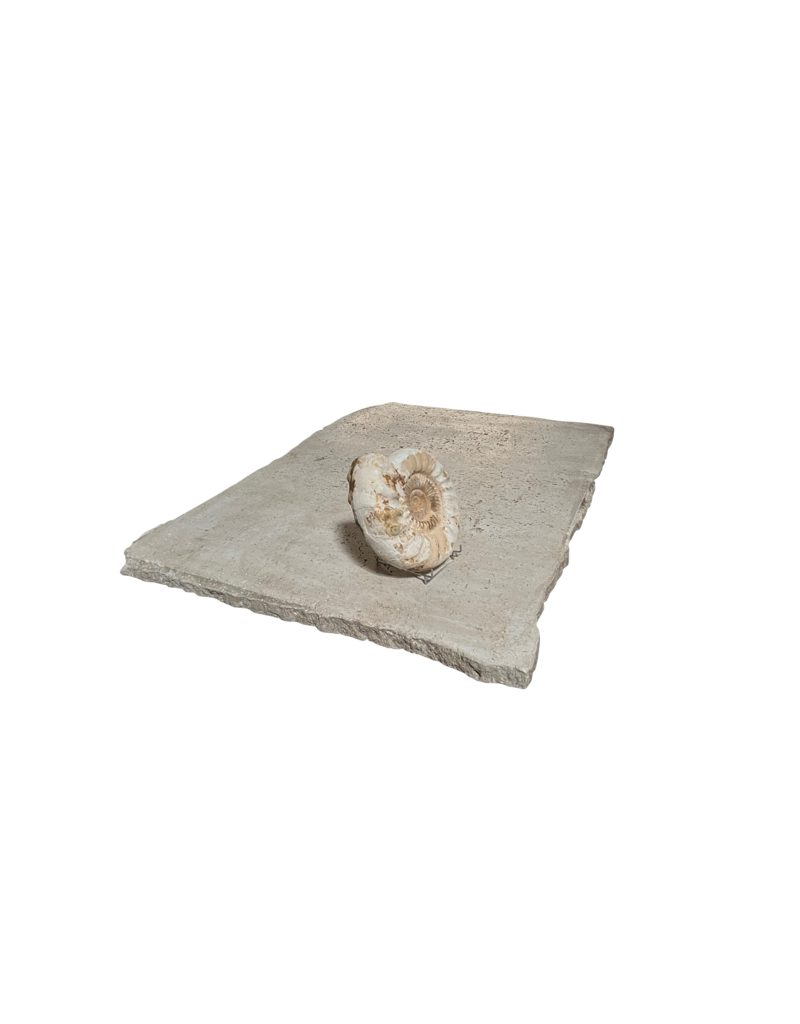 Maison Leon Van den Bogaert Mesa Travertino Beige Intemporal