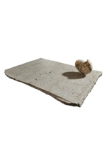 Maison Leon Van den Bogaert Tablette De Table En Travertin Beige Intemporel Et Inhabituel