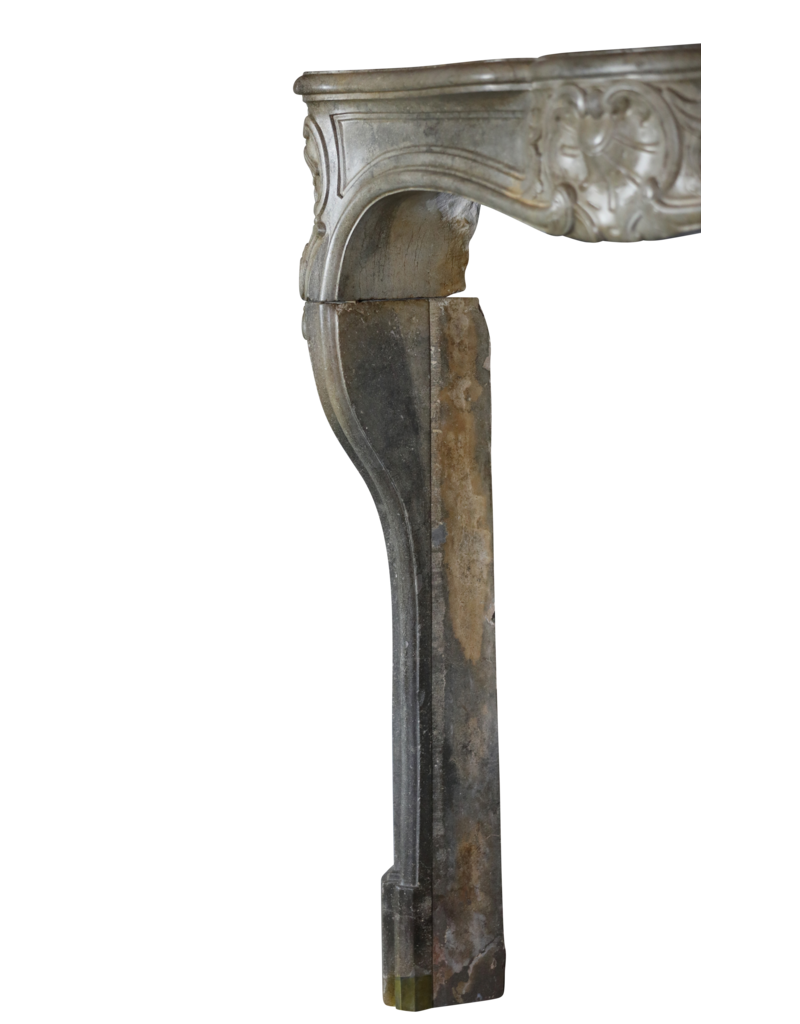 Maison Leon Van den Bogaert Auténtica Chimenea Decorativa Francesa del Siglo XVIII