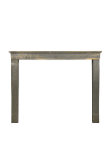 Maison Leon Van den Bogaert Small Bicolor French Decorative Fireplace