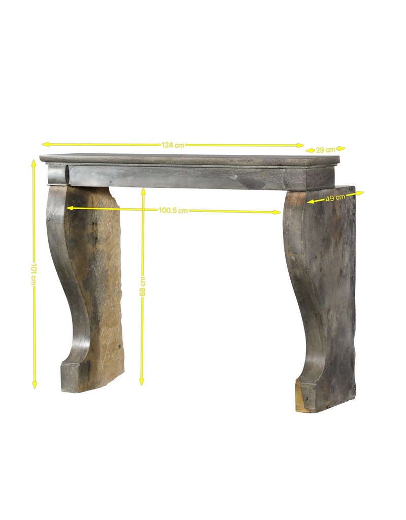 Maison Leon Van den Bogaert Sensacional Chimenea Decorativa Francesa Auténtica
