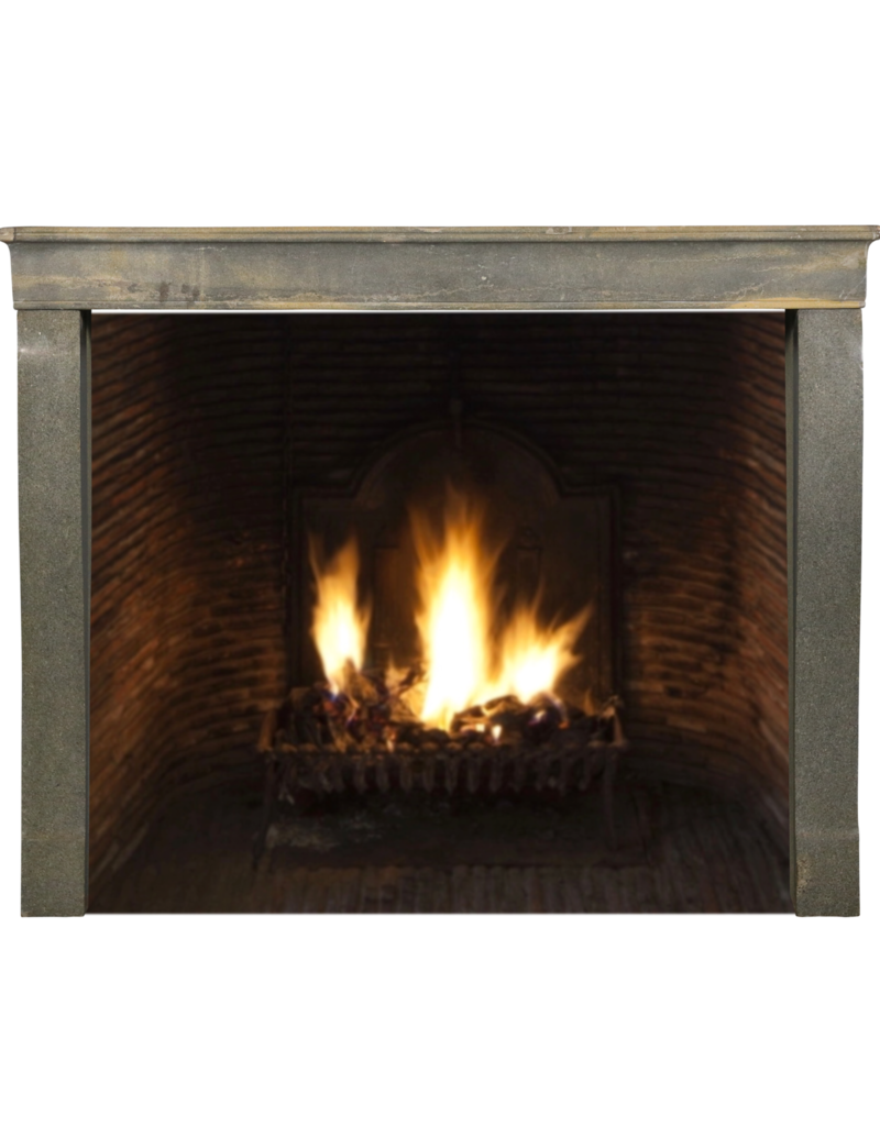 Maison Leon Van den Bogaert Pequeña Chimenea Decorativa Francesa Bicolor