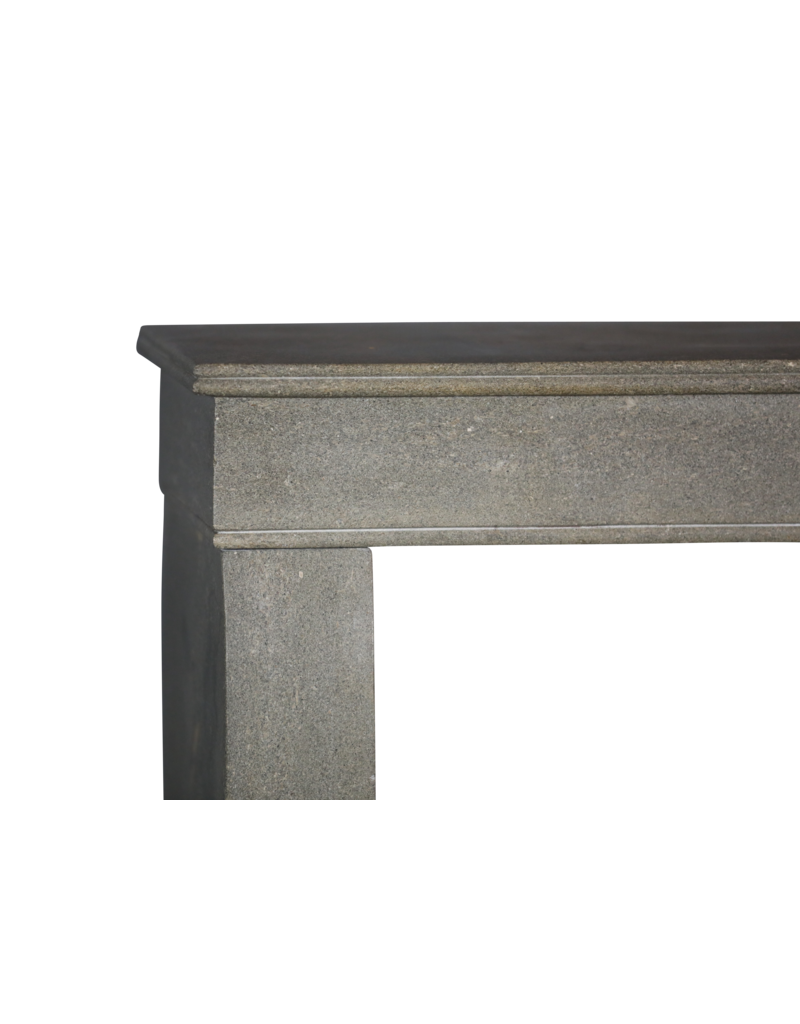 Maison Leon Van den Bogaert Elegante Chimenea Francesa de Piedra Gris