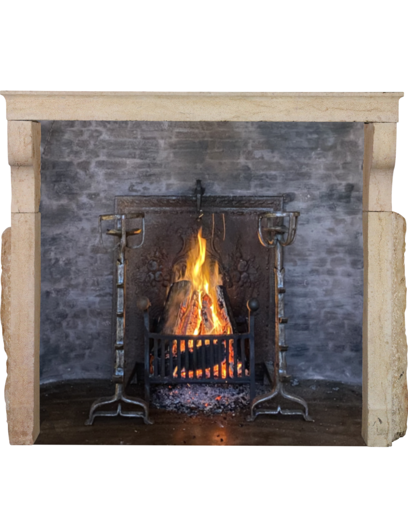 Maison Leon Van den Bogaert Provencal Rustic Decorative Fireplace
