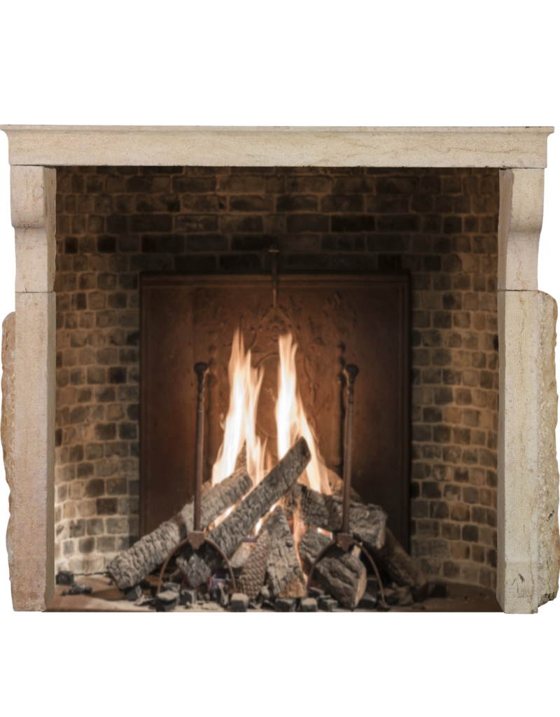 Maison Leon Van den Bogaert Provencal Rustic Decorative Fireplace