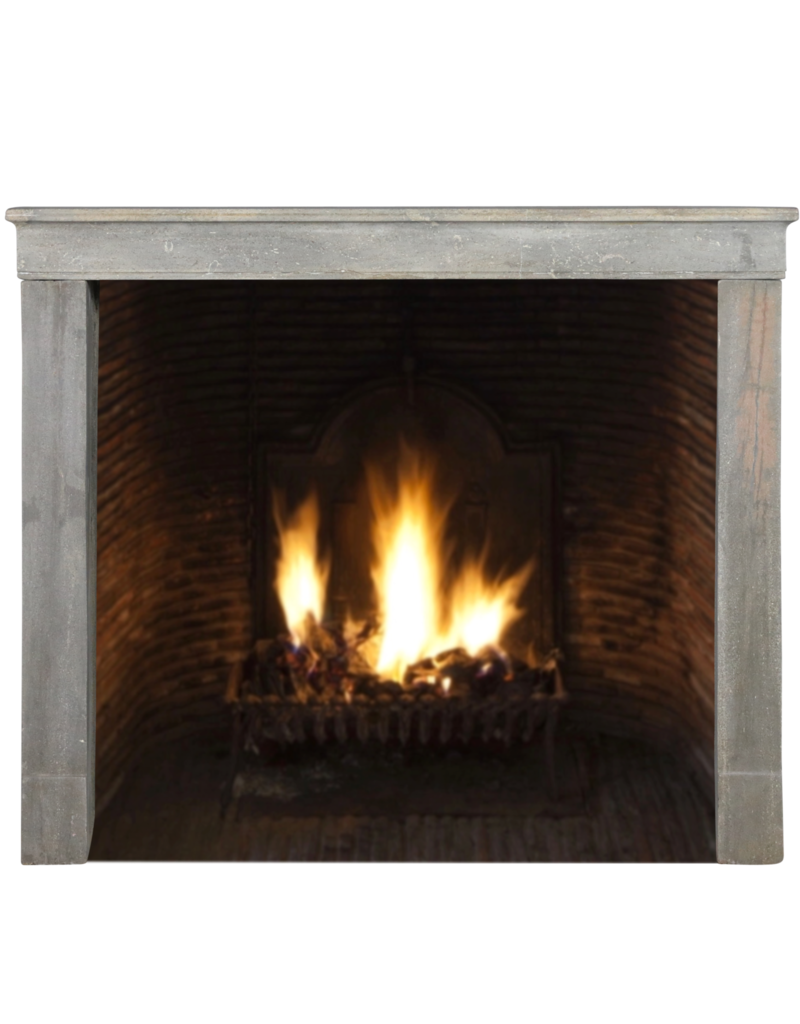 Maison Leon Van den Bogaert Chimenea pequeña de piedra bicolor gris