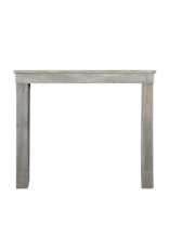 Petite Grey Bicolor Stone Fireplace