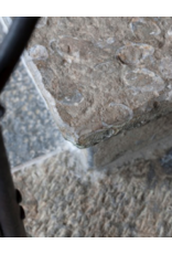 Dalles De Fossiles De Calcaire Gris Antique Français Récupérés