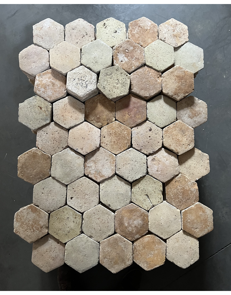 Antique French  Hexagonal Terra Cotta Tiles