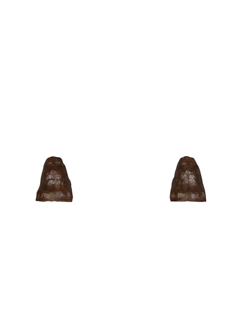 Maison Leon Van den Bogaert Objetos de chimenea de hierro fundido