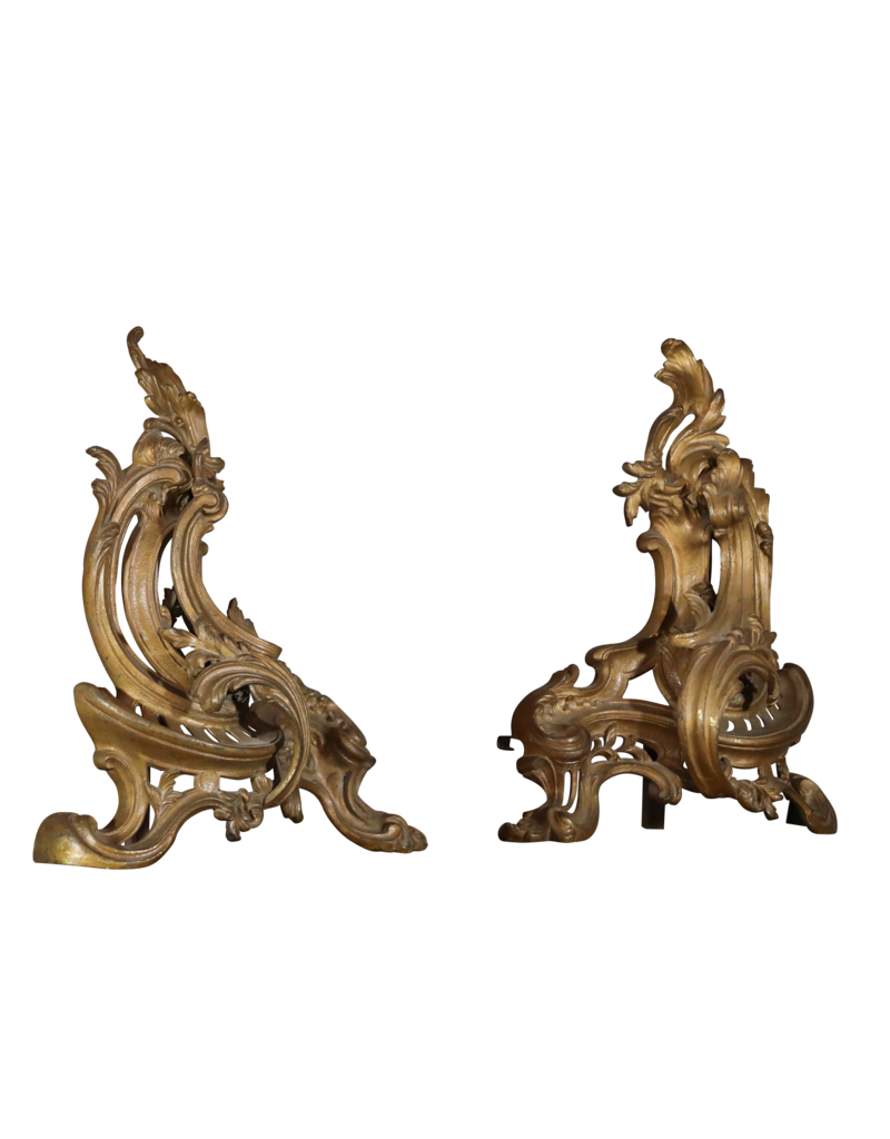 Maison Leon Van den Bogaert Régence-stijl haardijzers en decor objecten — 41 cm hoog