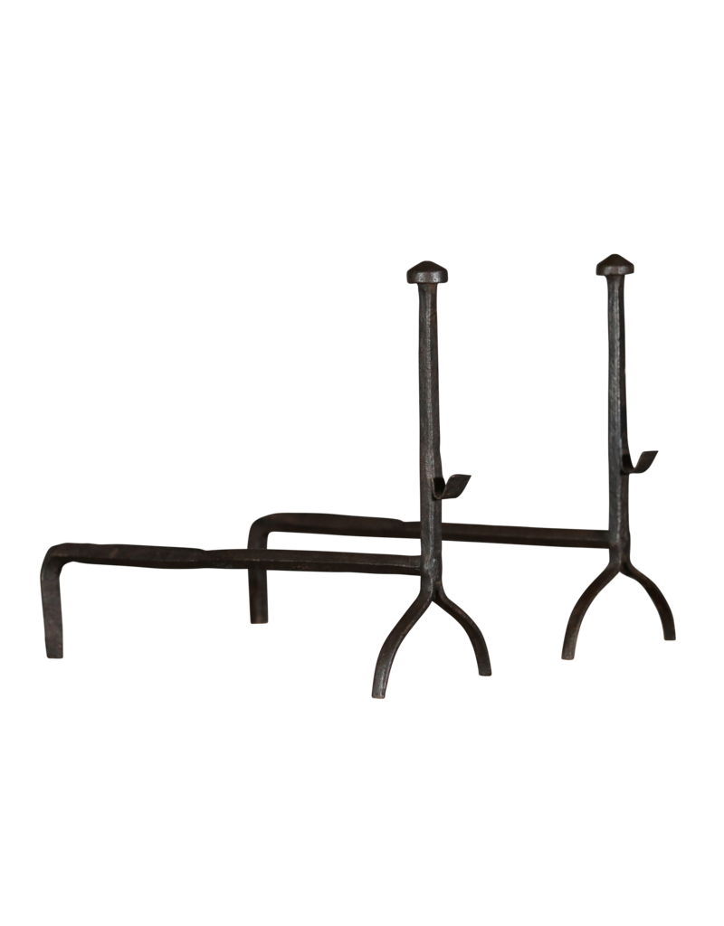 Elegant XVII Century Rustic Andiron