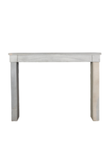 Simple French Bleu Bicolor Stone Fireplace