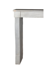 Simple French Bleu Bicolor Stone Fireplace