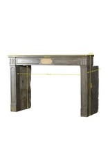 Timeless French LXVI Style Fireplace Surround