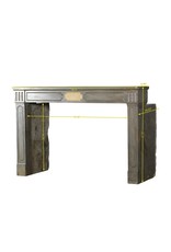 Timeless French LXVI Style Fireplace Surround