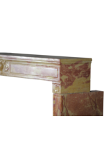 Maison Leon Van den Bogaert Authentisch gefärbter Kamin
